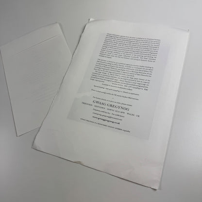 Prospectus for The Romantics in Wales edited by Glyn Tegai Hughes, wood engravings by Hilary Paynter Gregynog 2009