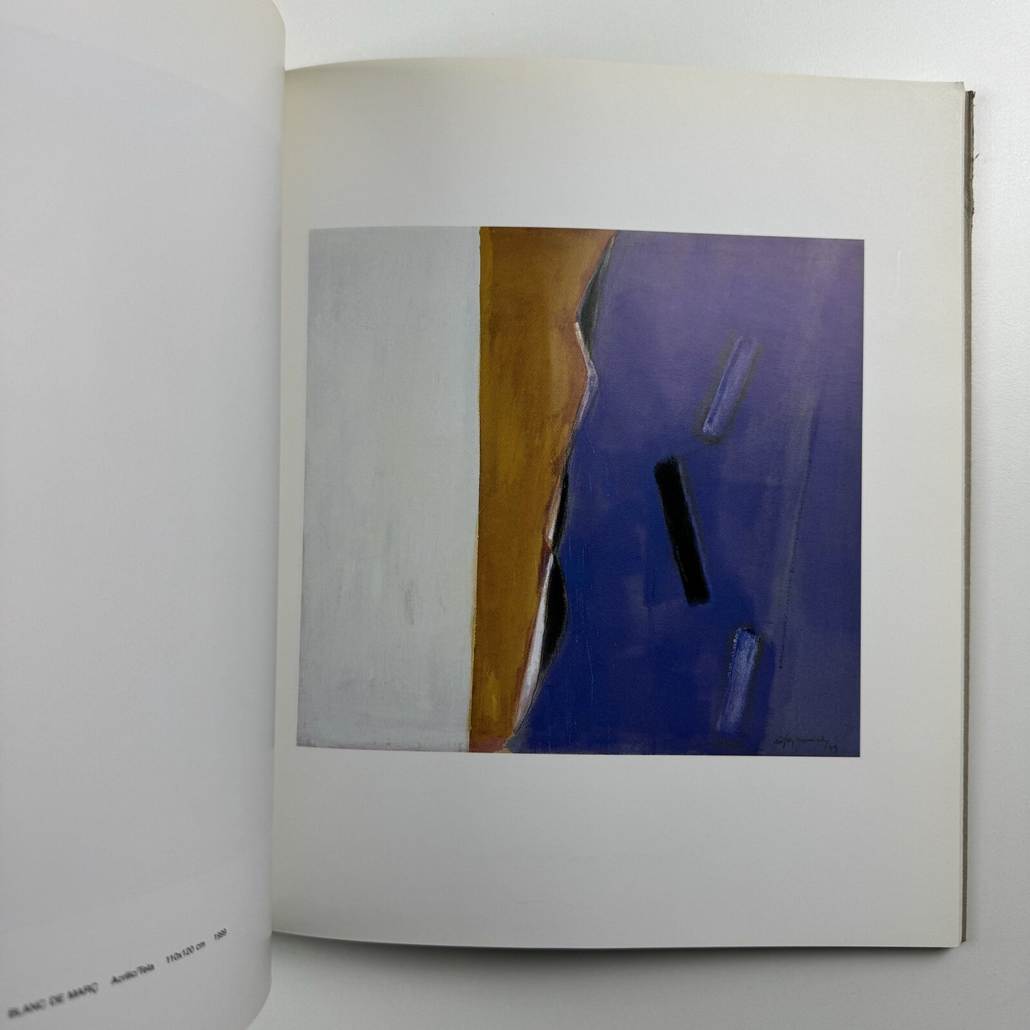 Albert Ràfols-Casamada. Obra reciente | Galeria Metta Madrid 2003