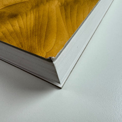 Now Jorinde Voigt | Kunsthalle Krems / The Baker Museum, 2015/16