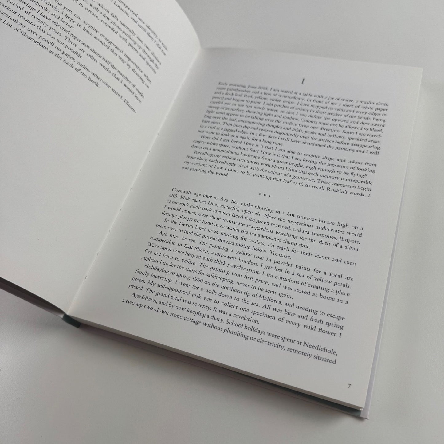 Thinking the Plant. The watercolour drawings of Rebecca John | Pimpernel Press, 2020