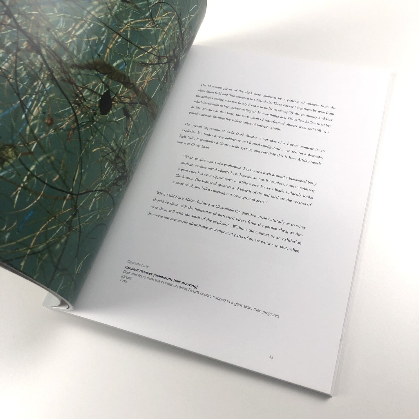 Cornelia Parker: Avoided Object | Foreword by Stuart Cameron 1996