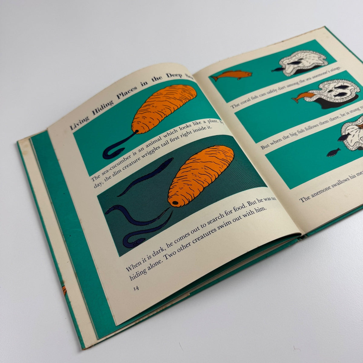 The Wonder World of the Deep Sea by Marie Neurath | Max Parrish, 1955 Isotype Institute