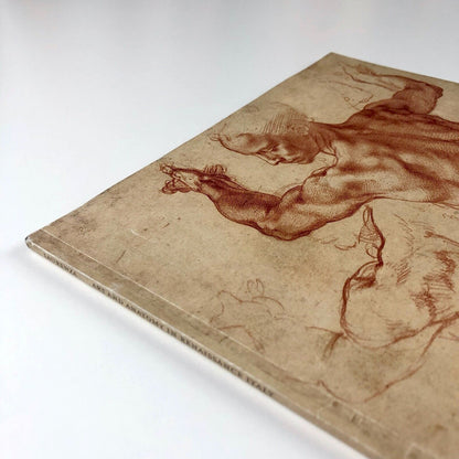 Art and Anatomy in Renaissance Italy by Domenico Laurenza | The Met, 2012