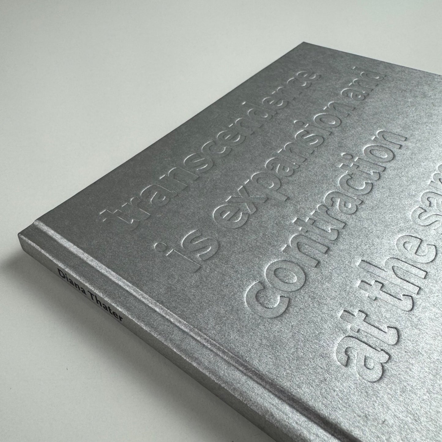 Diana Thater. Transcendence is expansion and contraction at the same time | Haunch of Venison, 2003