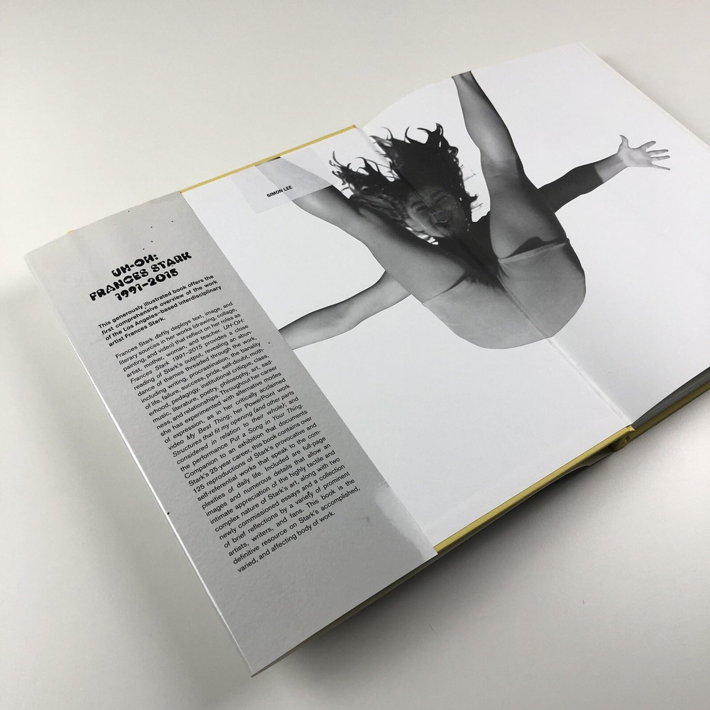 UH-OH Frances Stark 1991-2015 | Hammer Museum Prestel catalogue, 2015