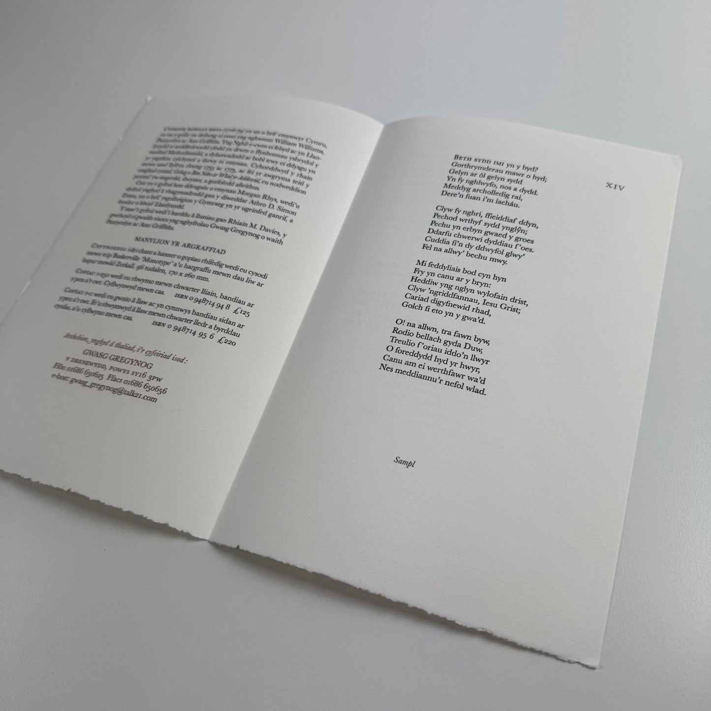Prospectus Emynau Morgan Rhys ed. D. Simon Evans Rhiain M. Davies Gwasg Gregynog
