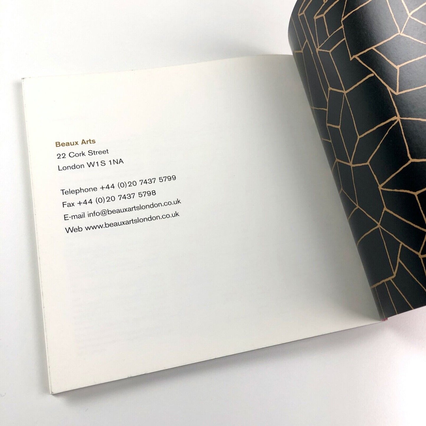 David Leapman. Building Watertight Structures in Volcanic Pools Beaux Arts 2001