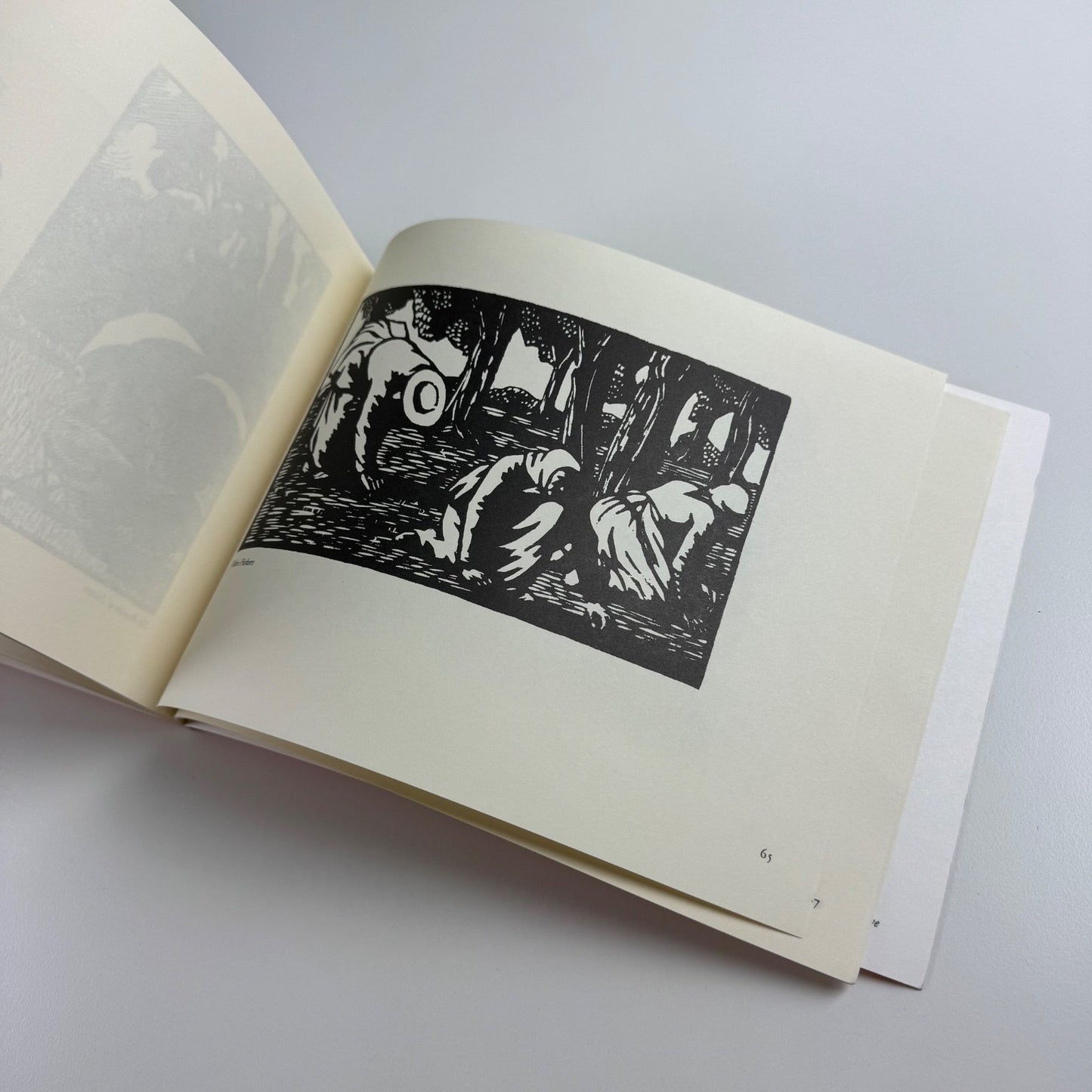 Gwen Raverat in France ed Rosemary Davidson | Broughton House Books, 2004