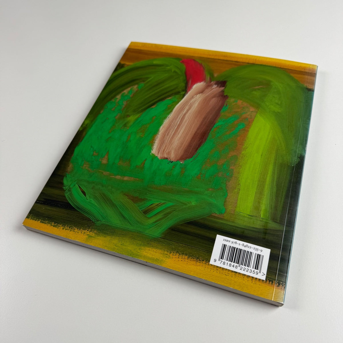 Howard Hodgkin. Indian Paintings ed Eleanor Clayton | Lund Humphries, 2017