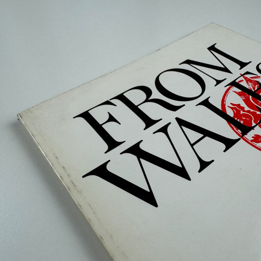 From Wales. Selected aspects of contemporary art Welsh Arts Council 1977