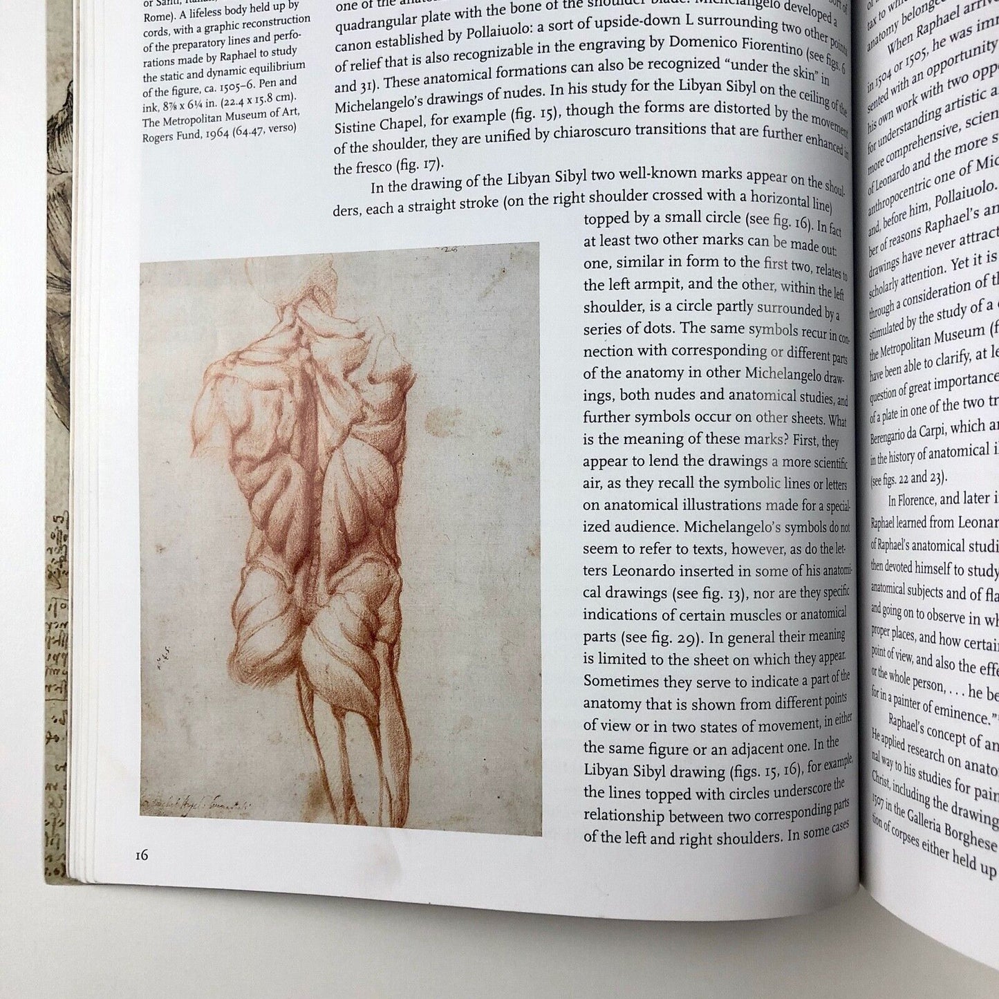 Art and Anatomy in Renaissance Italy by Domenico Laurenza | The Met, 2012