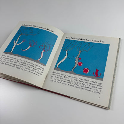 A new life begins by Marie Neurath | Max Parrish, London, 1961 Isotype Institute Institute