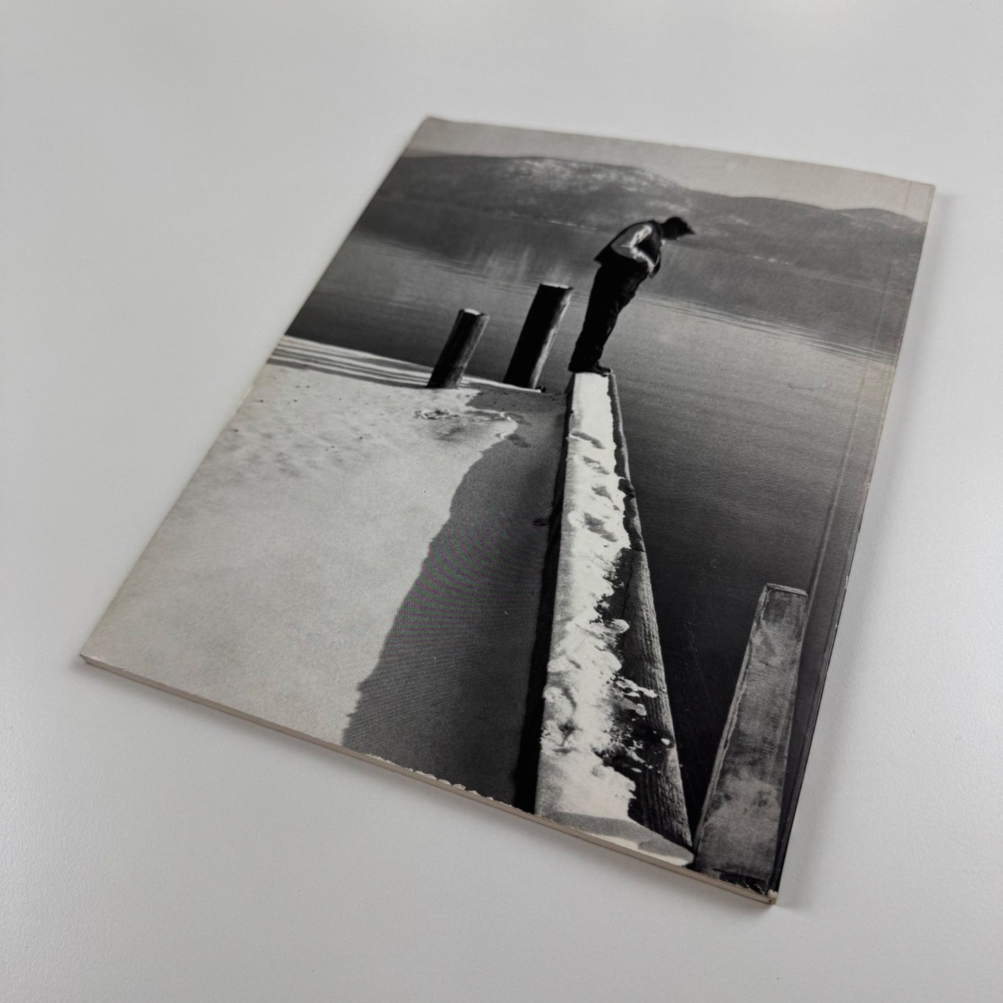 David Smith. Sprays from Bolton Landing | Anthony d'Offay, 1985