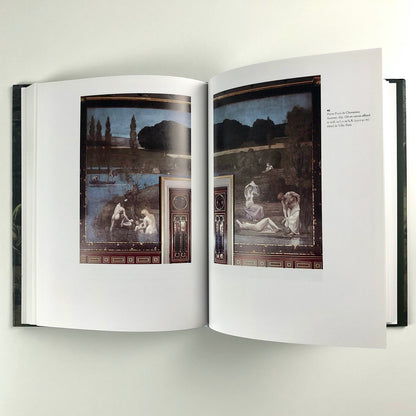 Dream States: Puvis de Chavannes, Modernism, and the Fantasy of France by Jennifer L. Shaw | Yale 2002