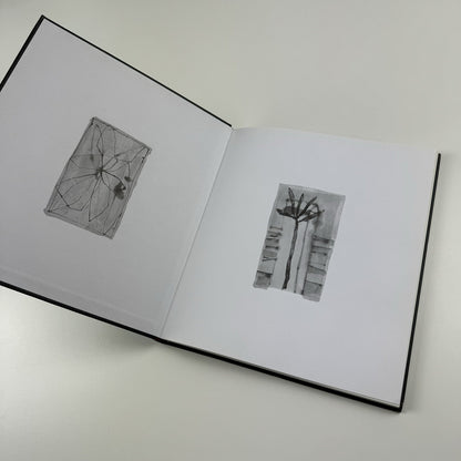 Gonçalo Ivo. Paintings and watercolours. Peintures et aquarelles Galerie Flak