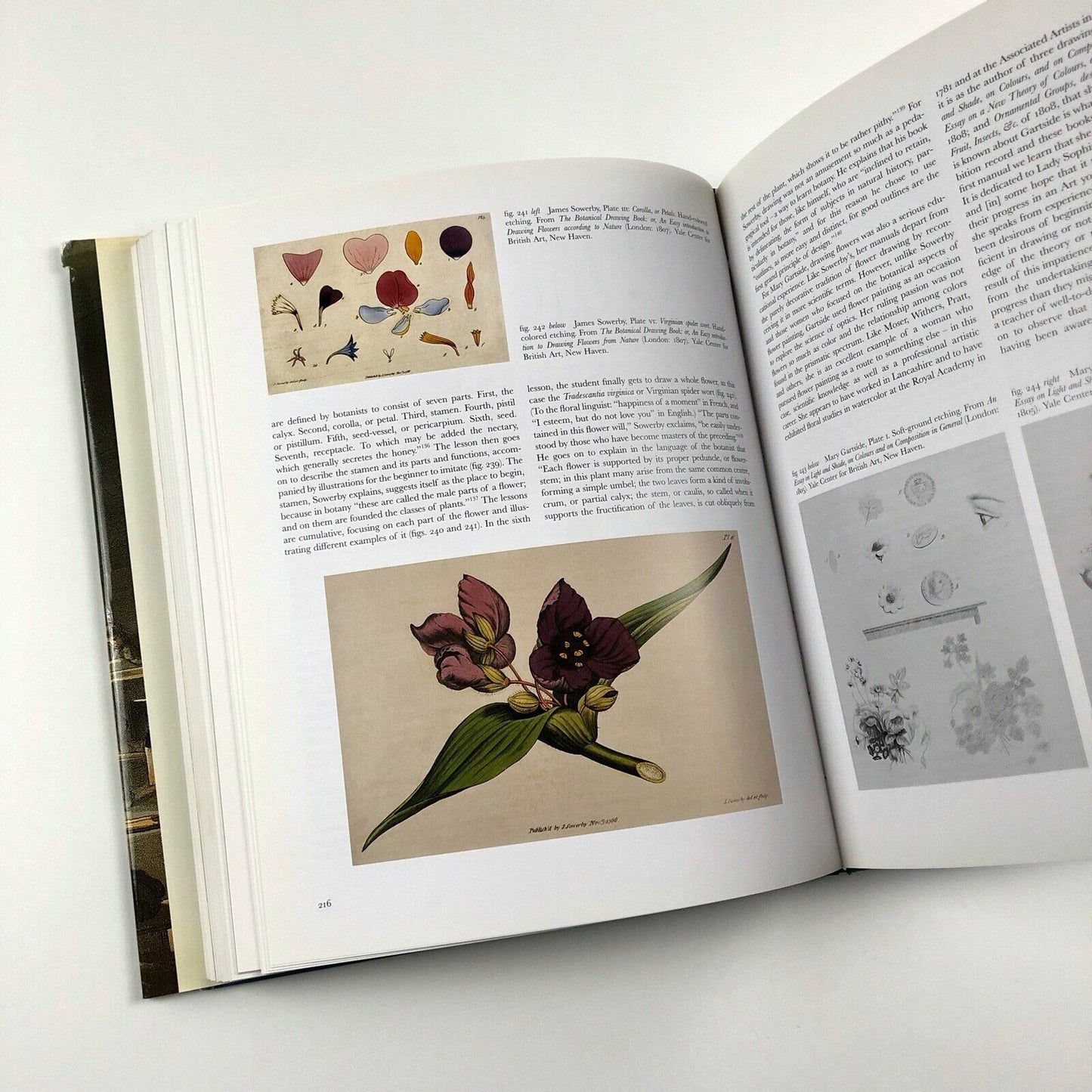 Learning to Draw. Studies in the Cultural History of a Polite and Useful Art by Ann Bermingham | Yale University Press, 2000