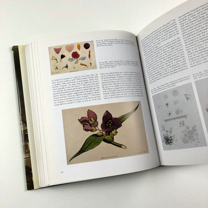 Learning to Draw. Studies in the Cultural History of a Polite and Useful Art by Ann Bermingham | Yale University Press, 2000