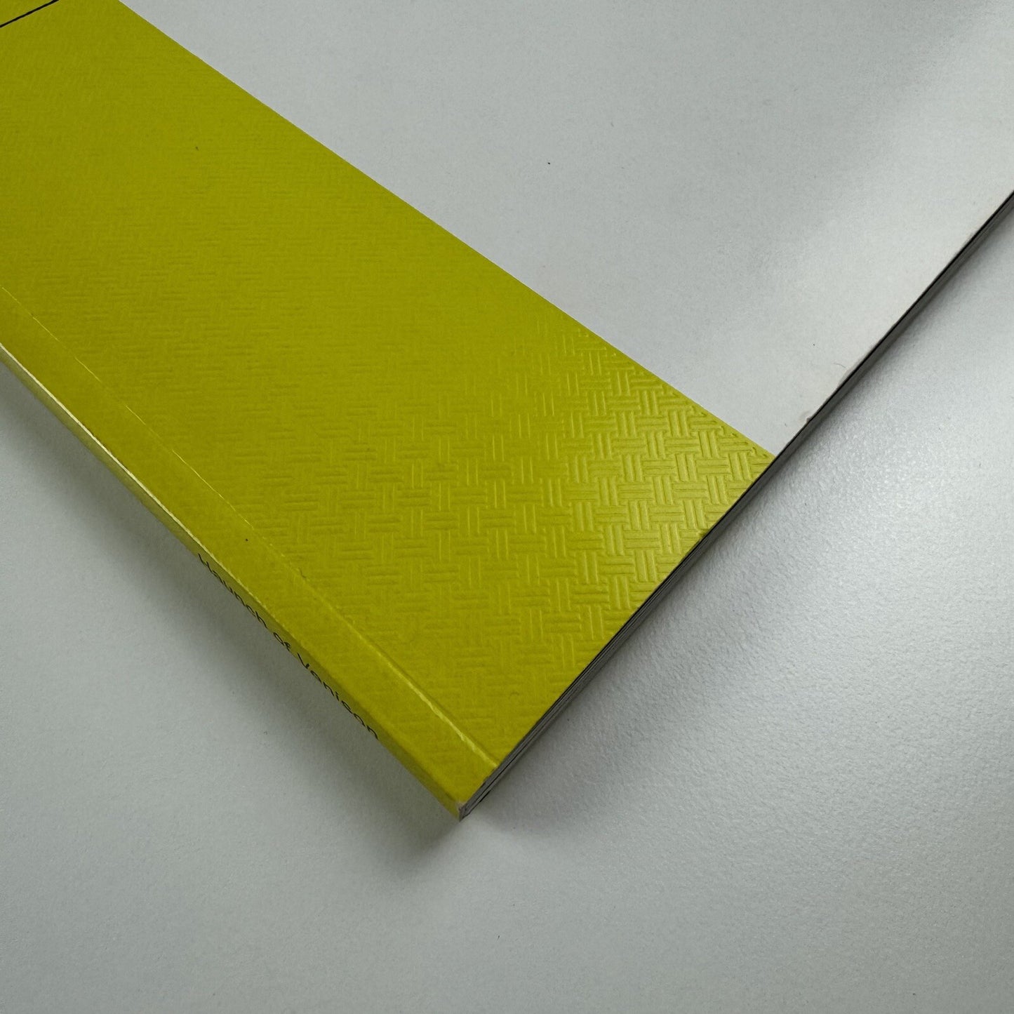 Jonas Burgert. Hitting Every Head | Haunch of Venison London, 2009 catalogue