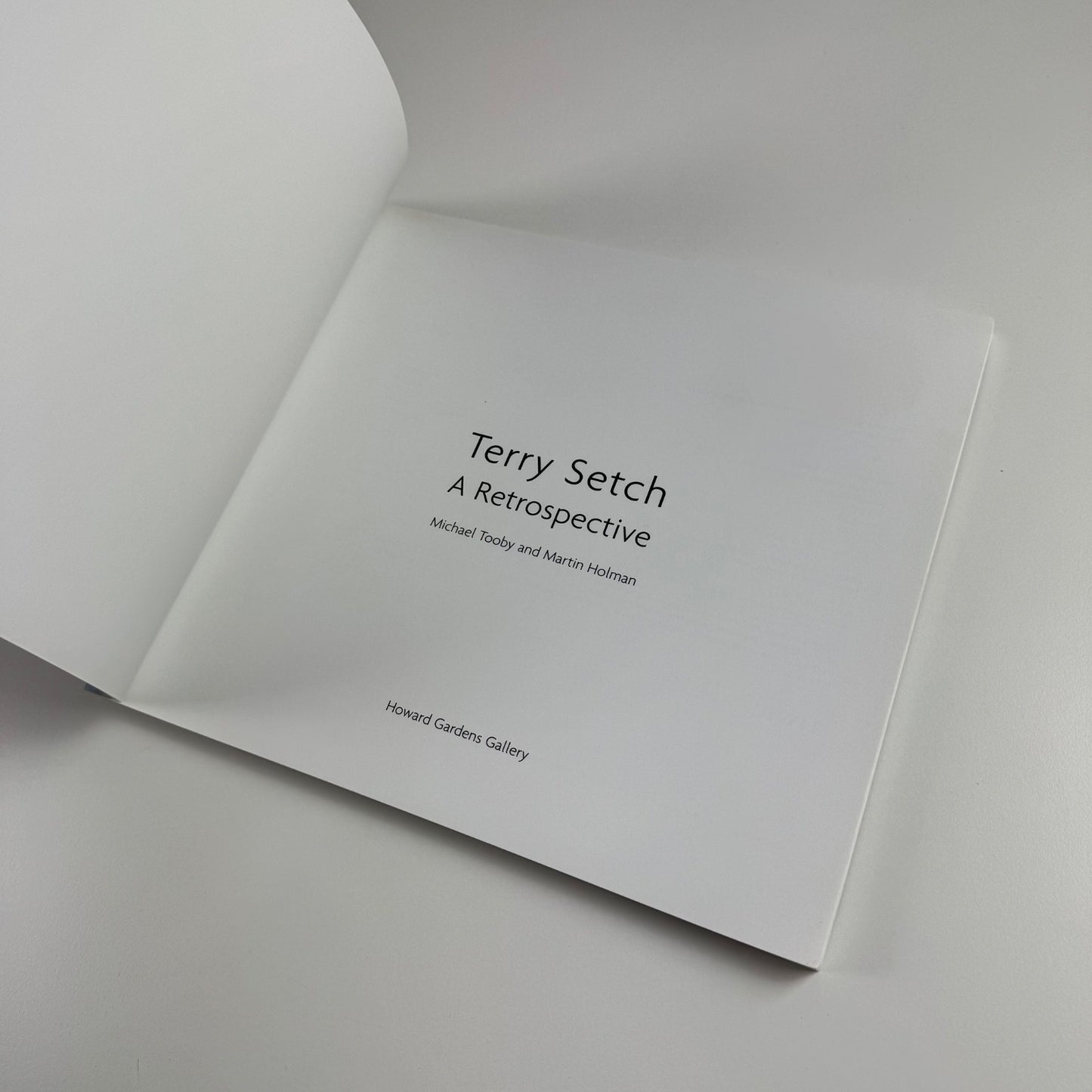 Terry Setch. A Retrospective by Michael Tooby & Martin Holman | Howard Gardens Gallery, 2001