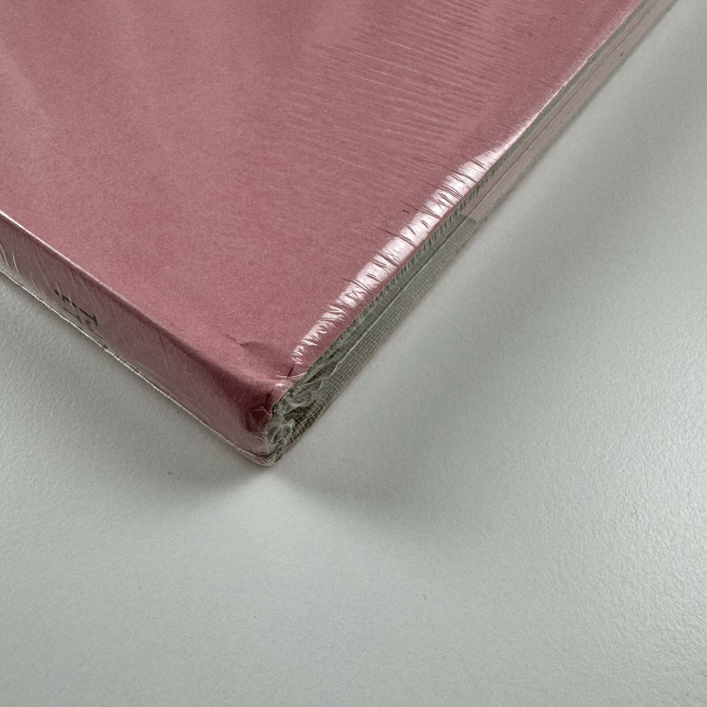 Berlinde De Bruyckere One 2002-2004 | De Pont Museum / La Maison Rouge exhibition catalogue, 2005
