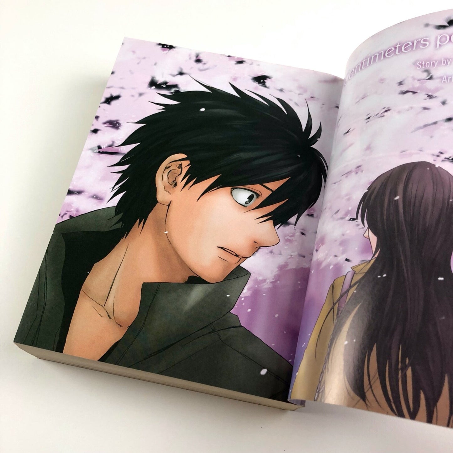 5 Centimeters Per Second Makoto Shinkai and Yukiko Seike | Vertical, Inc, 2012