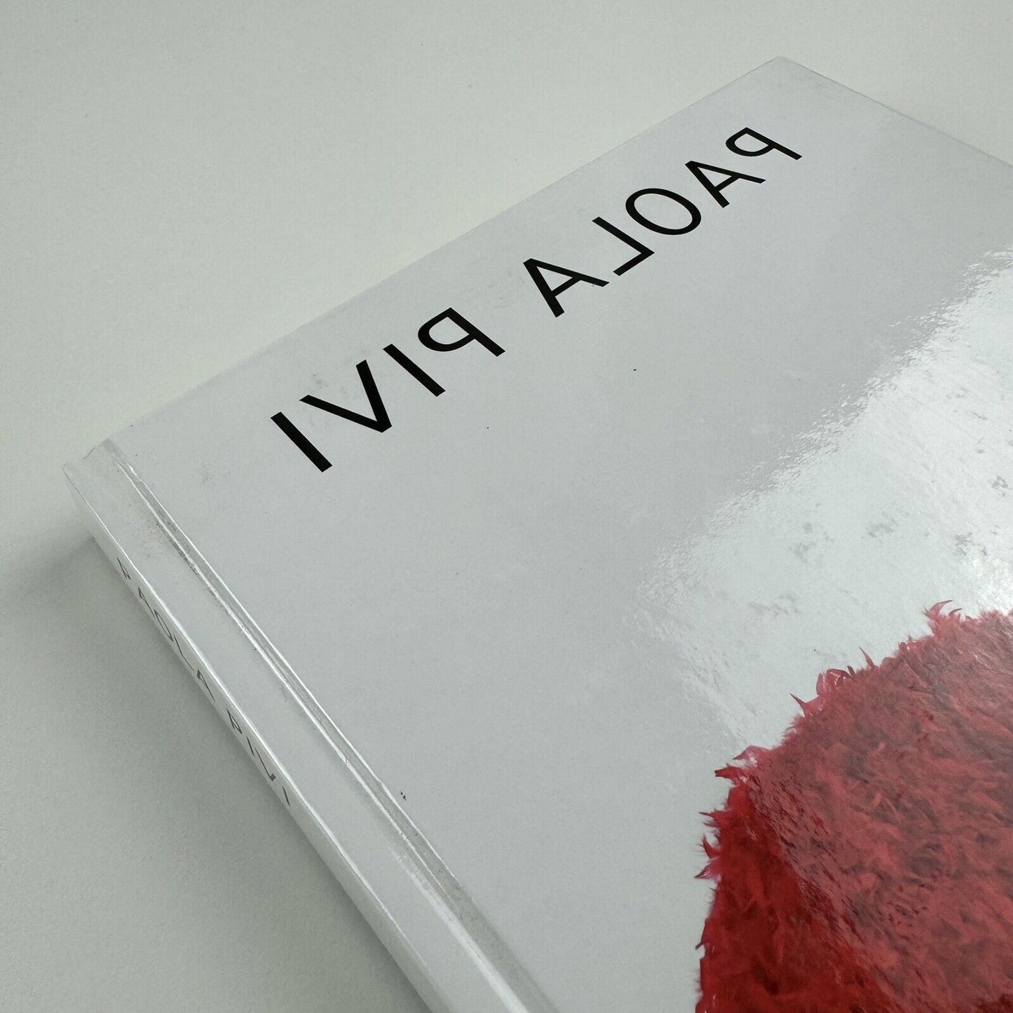Paola Pivi. Massimiliano Gioni & Jens Hoffmann | Galerie Perrotin, 2013