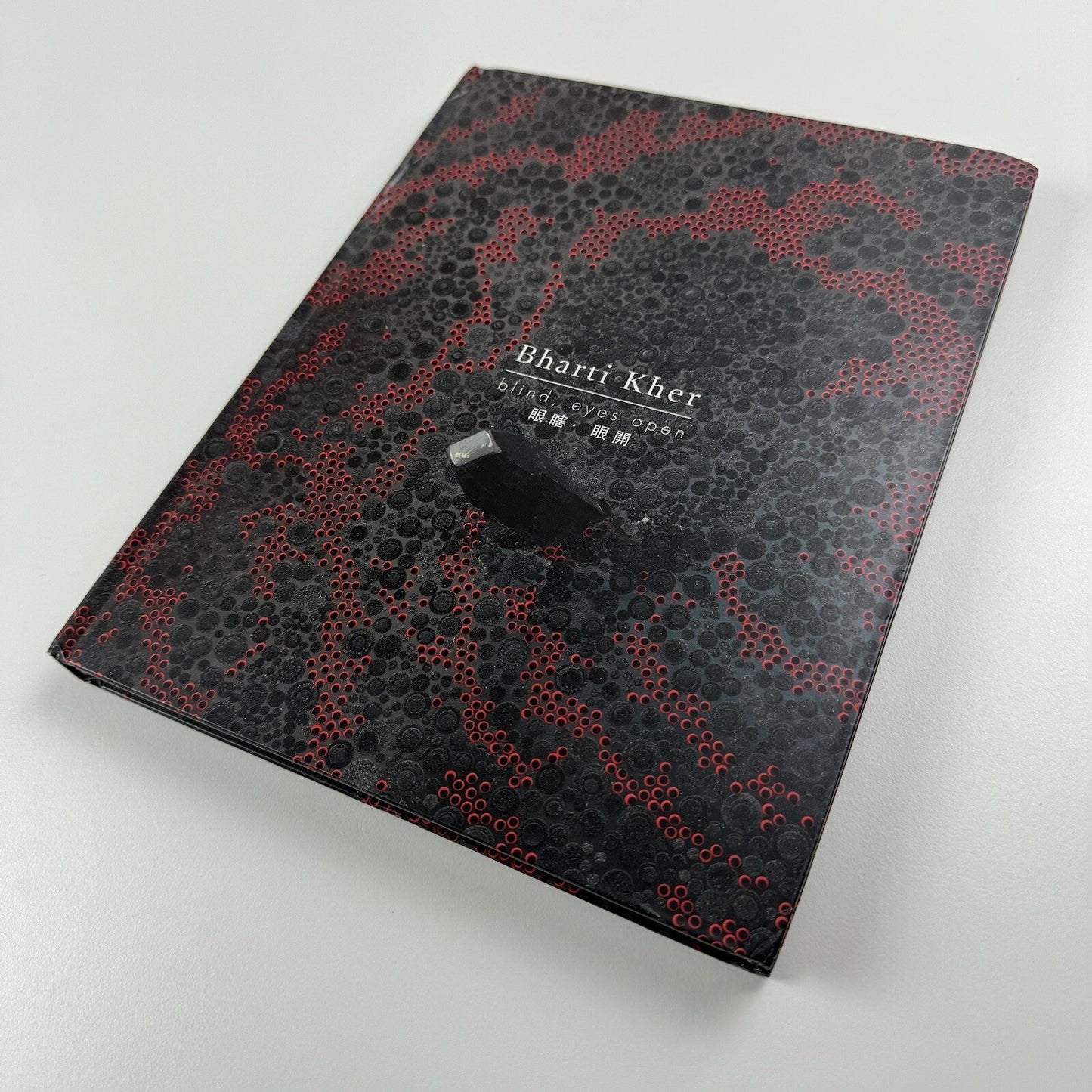 Bharti Kher – Blind, eyes open | Galerie Perrotin 2012 catalogue