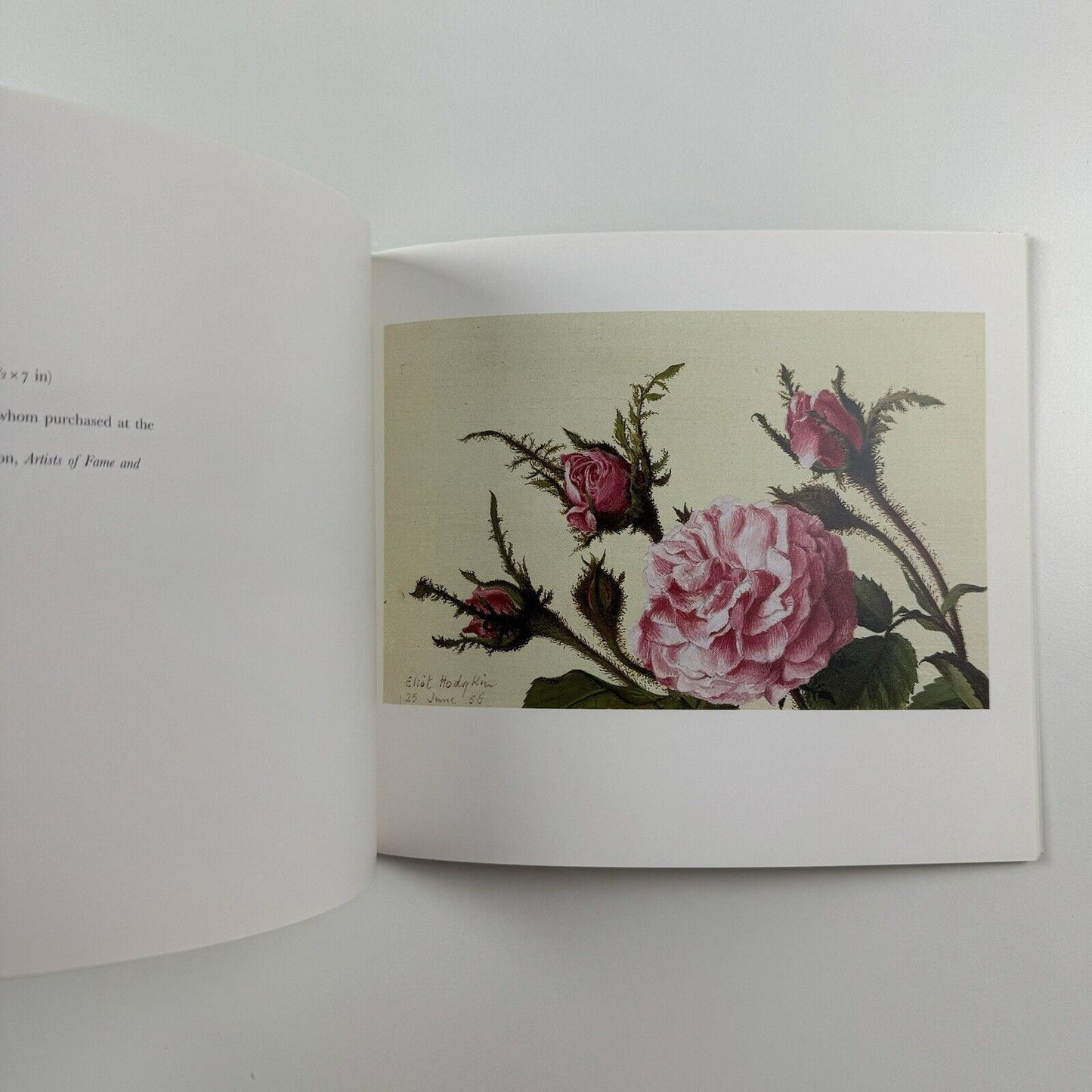 Ten Paintings by Eliot Hodgkin | Hazlitt, Gooden & Fox 2002