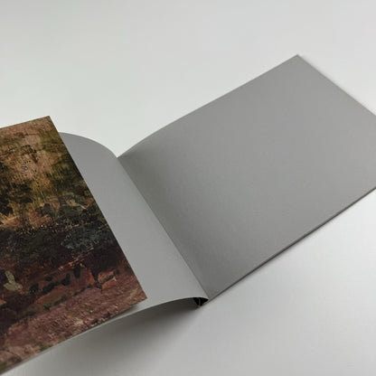 Emily Patrick – Recent Paintings 2002-2005 | The Air Gallery catalogue, 2005