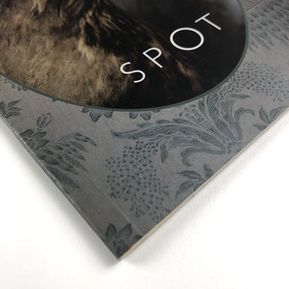 Helen Sear – Spot | Nottingham City Museums and Galleries, 2003