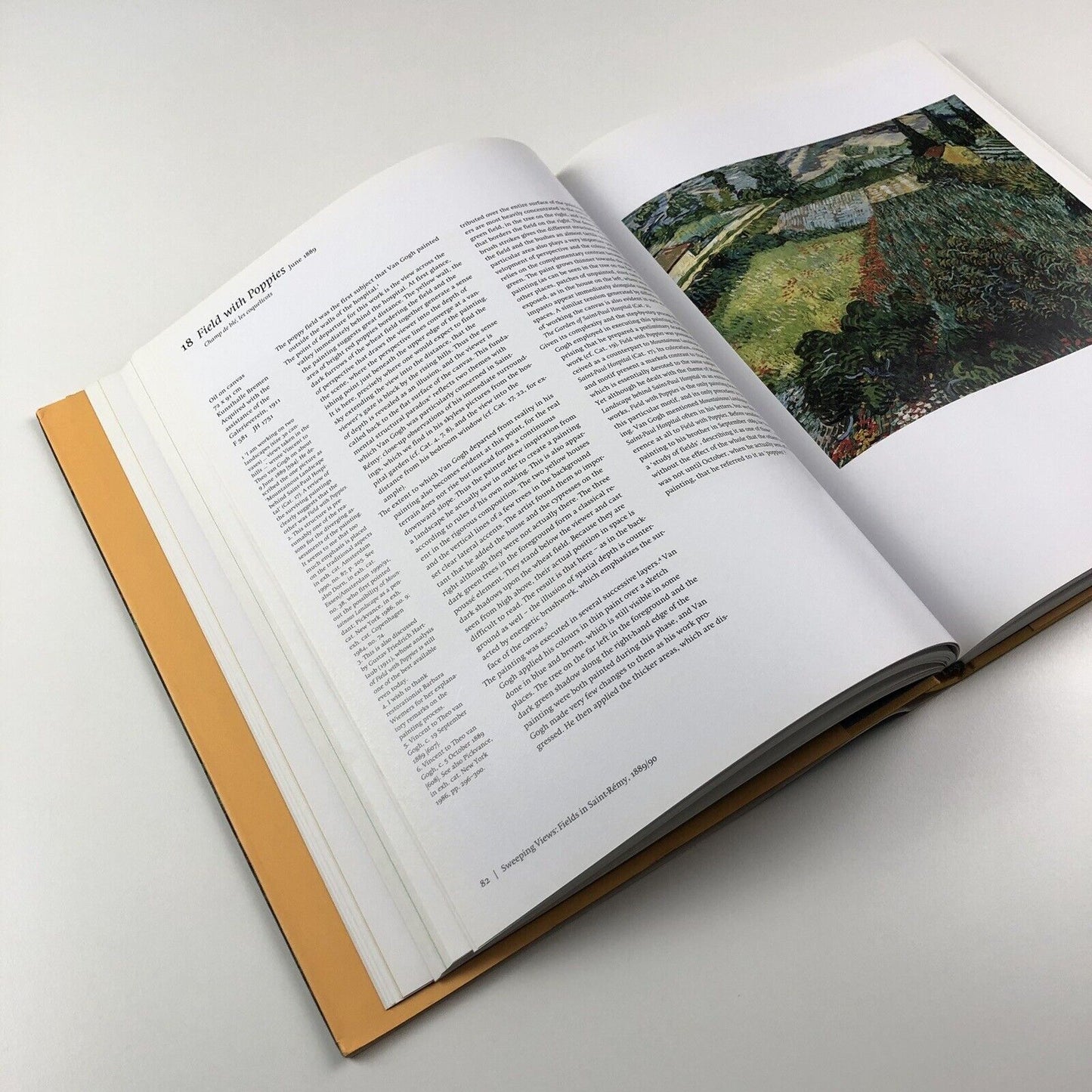 Van Gogh: Fields. The Field with Poppies and the Artists’ Dispute | Edited by Wulf Herzogenrath and Dorothee Hansen | Hatje Cantz, 2002