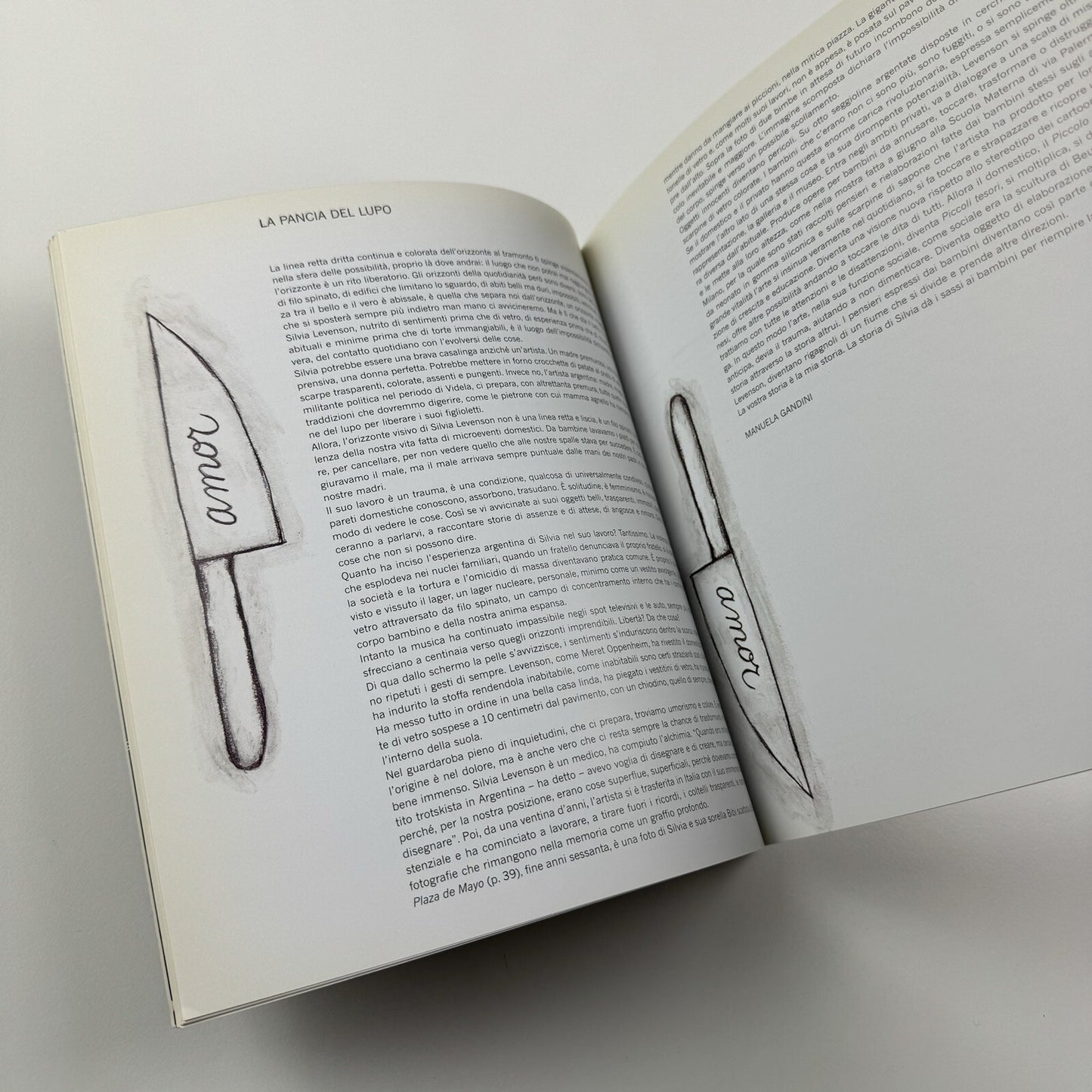 Silvia Levenson | Galleria Credito Valtellinese, 2001 catalogue