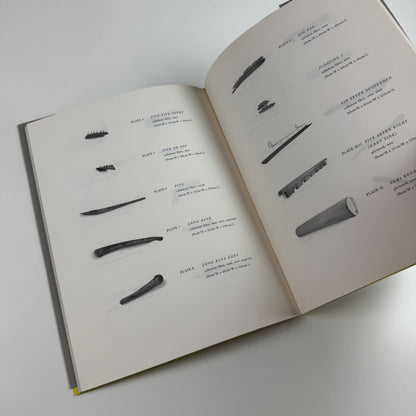 Ainslie Yule: Wall Sculptures | Talbot Rice Gallery/Edinburgh; Ulster Museum, 1999 edition of 500