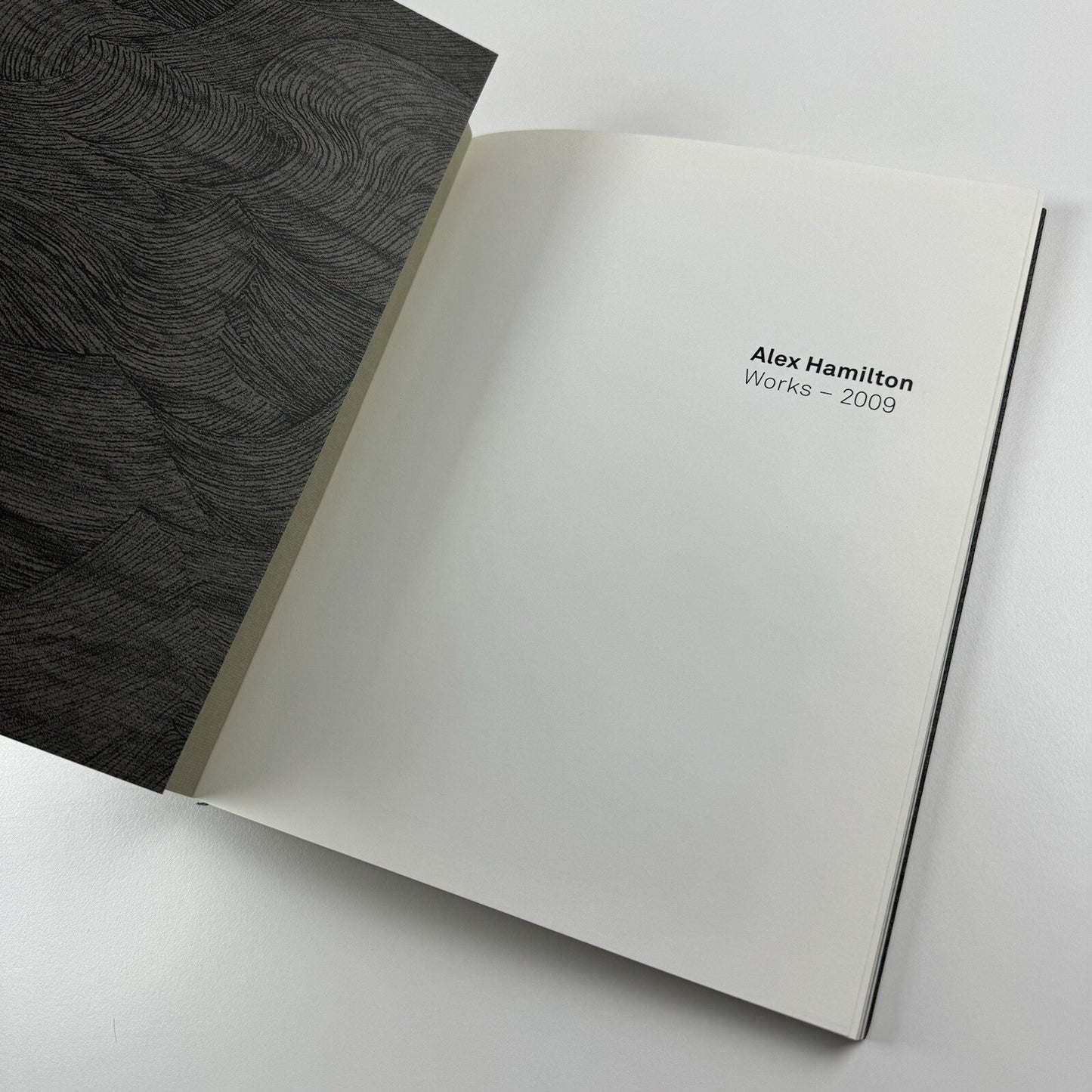 Alex Hamilton. Works 2009 | Patrick Heide Contemporary Art | 2009 exhibition catalogue