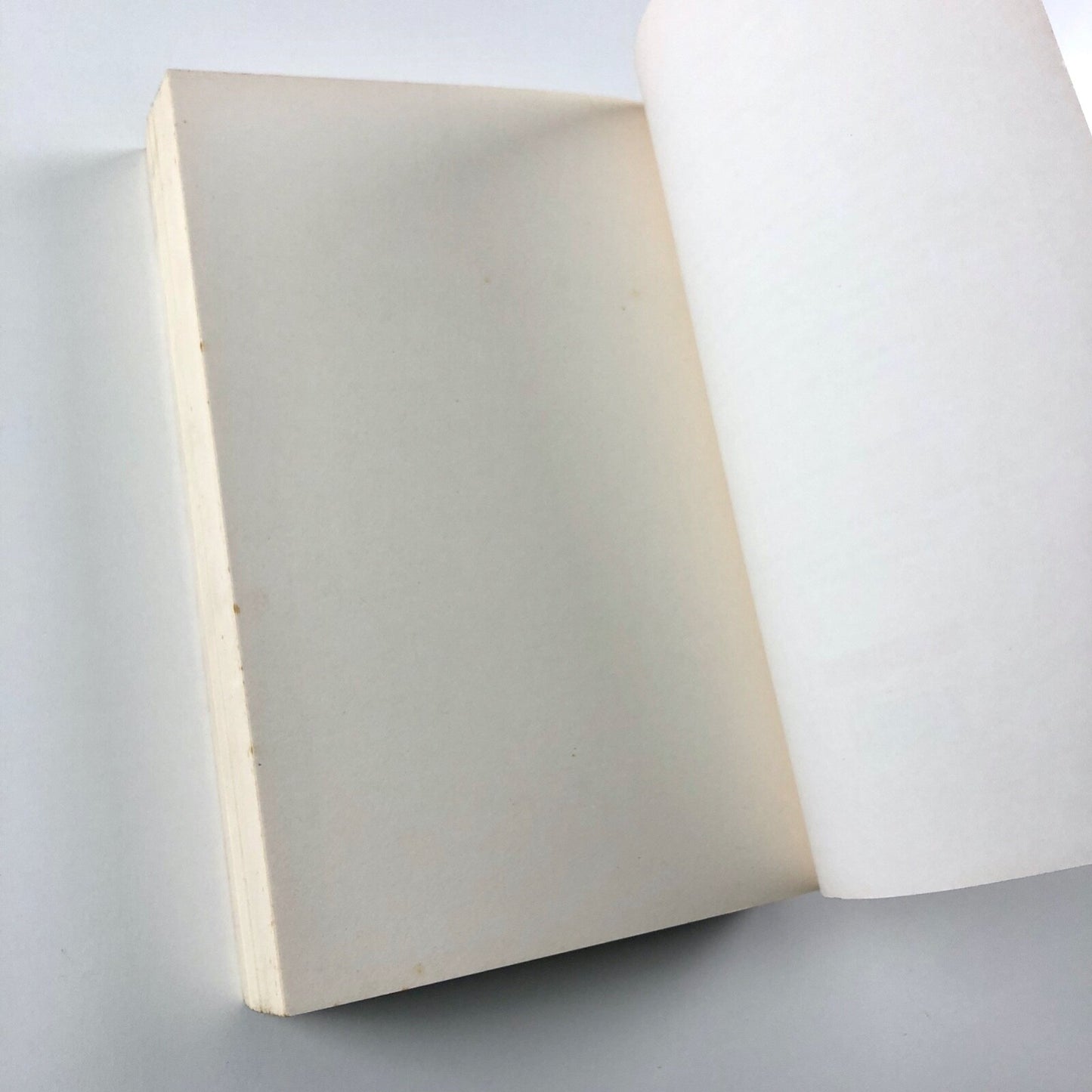 Georges Braque: A Life | Alex Danchev Penguin 2007