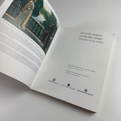 The Light of the North | Museo Nacional Centro de Arte, Madrid, 1995