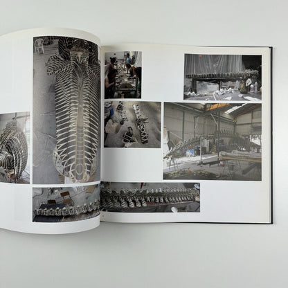Gabriel Orozco. Twelve Paintings and a Drawing | White Cube, 2006