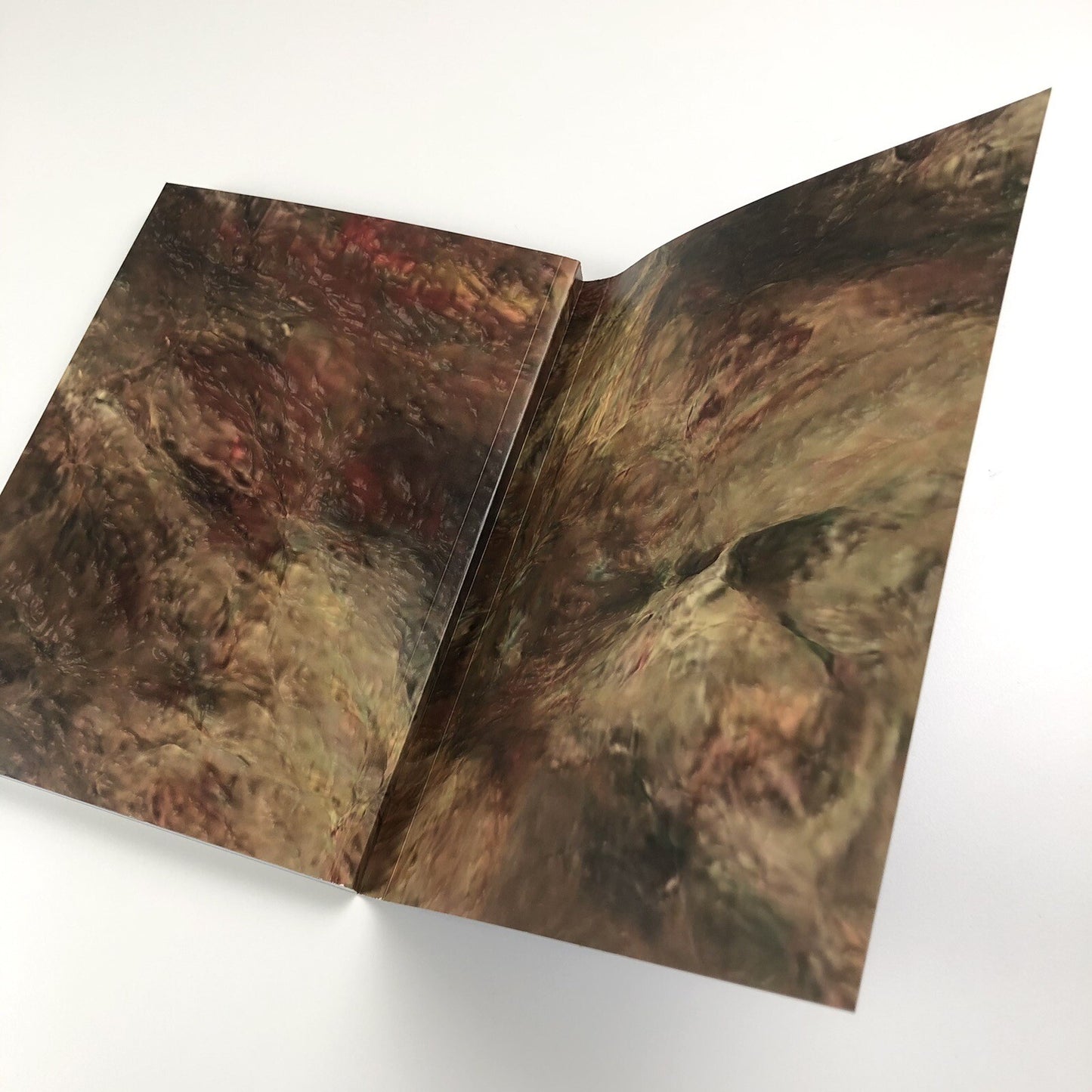 Sondra Perry. Typhoon Coming On | Serpentine Galleries exhibition catalogue, 2018