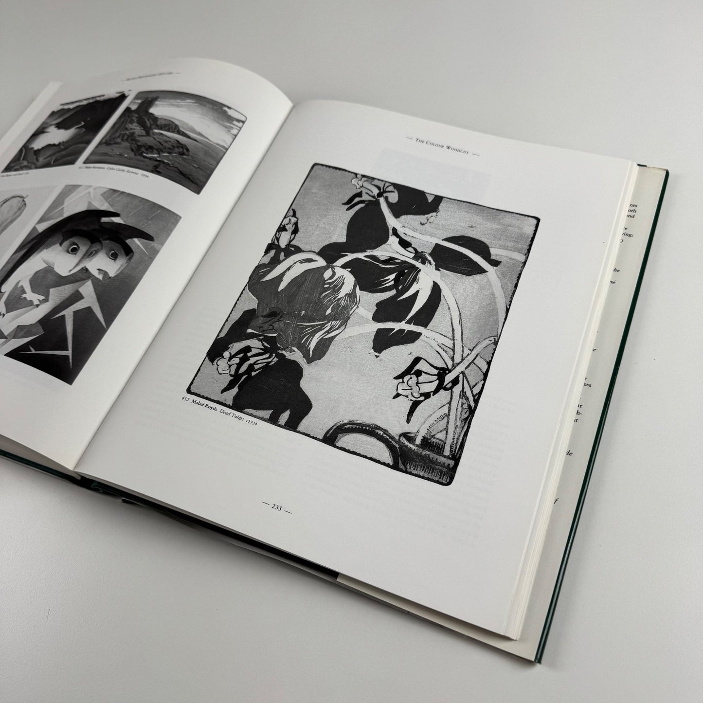 British Printmakers 1855-1955. A century of printmaking from the etching revival to St Ives by Robin Garton | Scolar Press, 1992