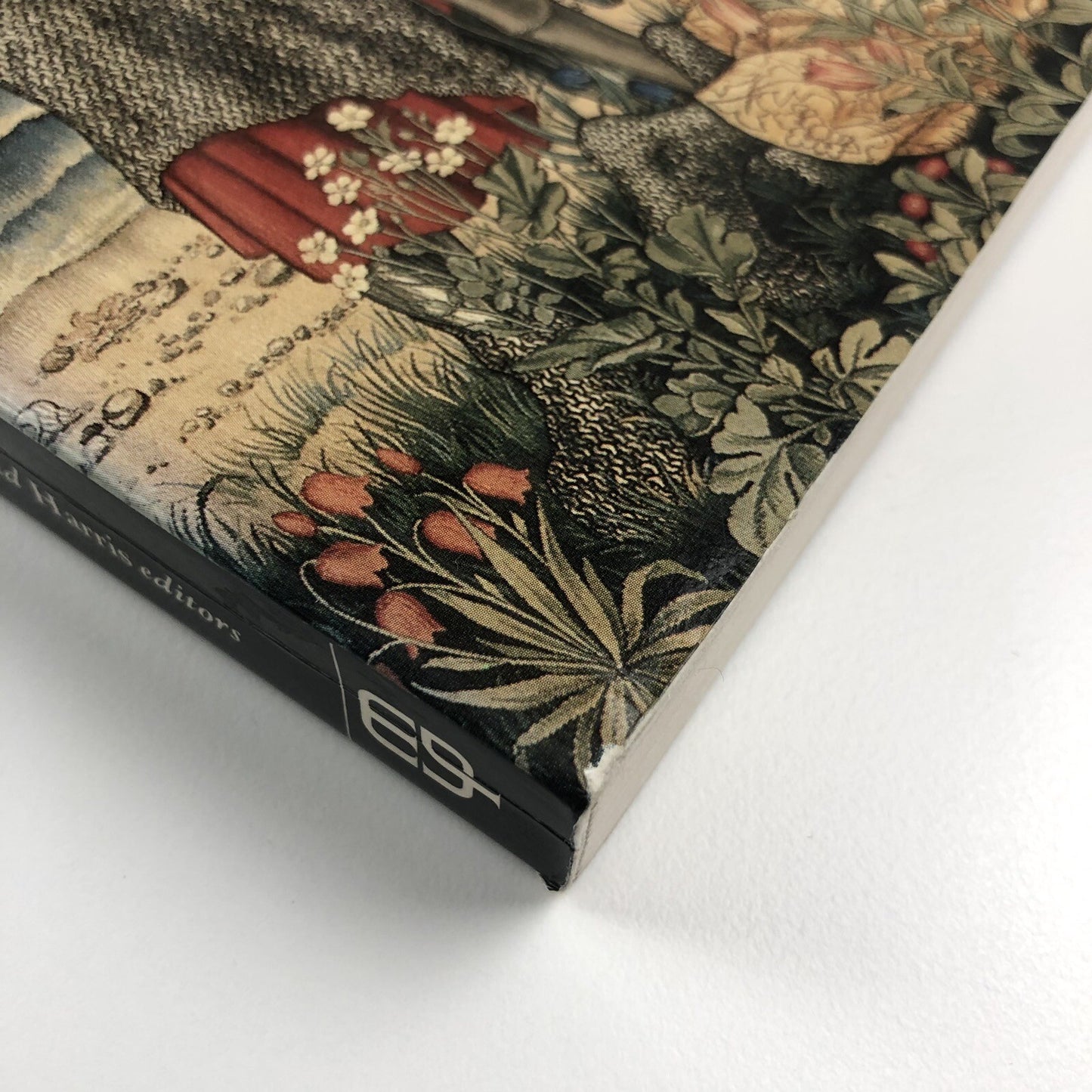 William Morris and the Middle Ages | Joanna Banham, Jennifer Harris | Whitworth 1984