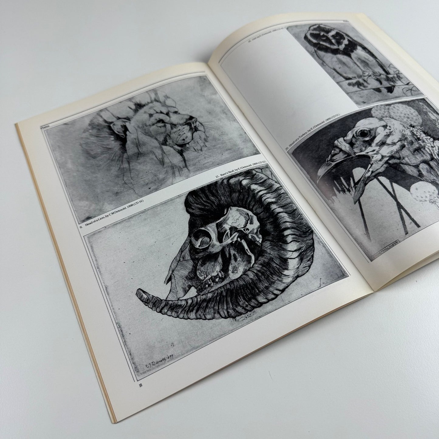 Charles Maurice and Edward Julius Detmold by Nicholas Alfrey & Richard Verdi | Heslington Hall, 1983/4