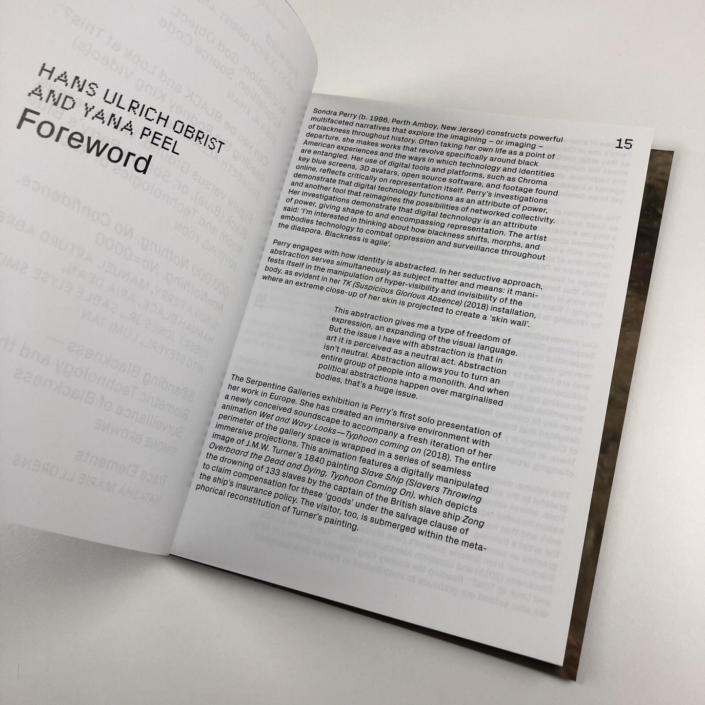 Sondra Perry. Typhoon Coming On | Serpentine Galleries exhibition catalogue, 2018