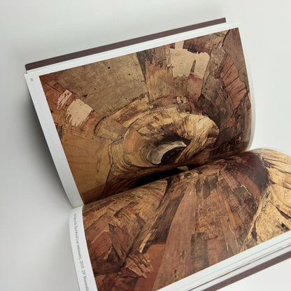 Henrique Oliveira | Marc Bembekoff, Felipe Scovino. Sam Art Projects, 2013 catalogue