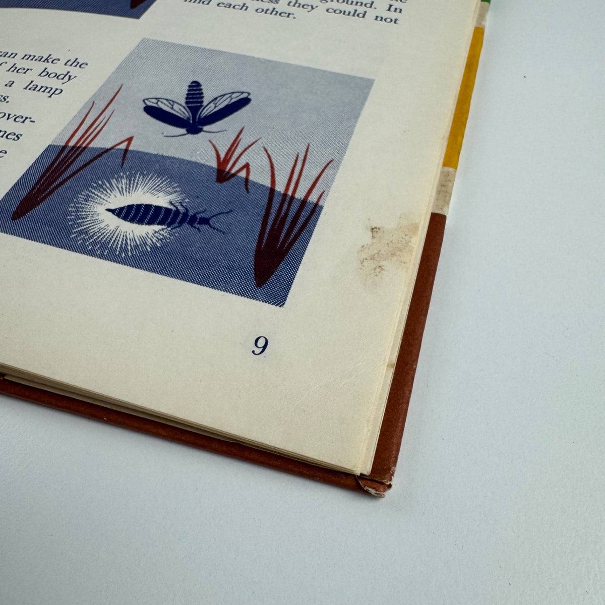 The Wonder World of Insects by Marie Neurath | Max Parrish, 1953 Isotype