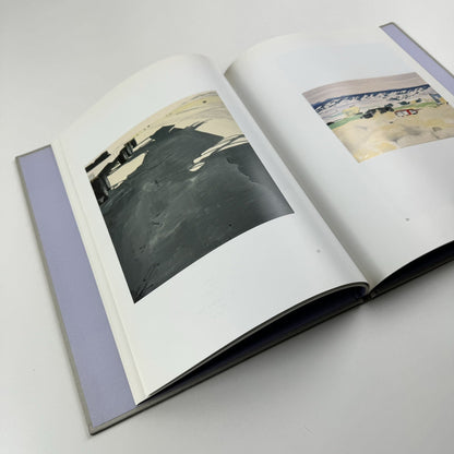 Koen van den Broek. Jennifer Higgie | White Cube, London, 2003
