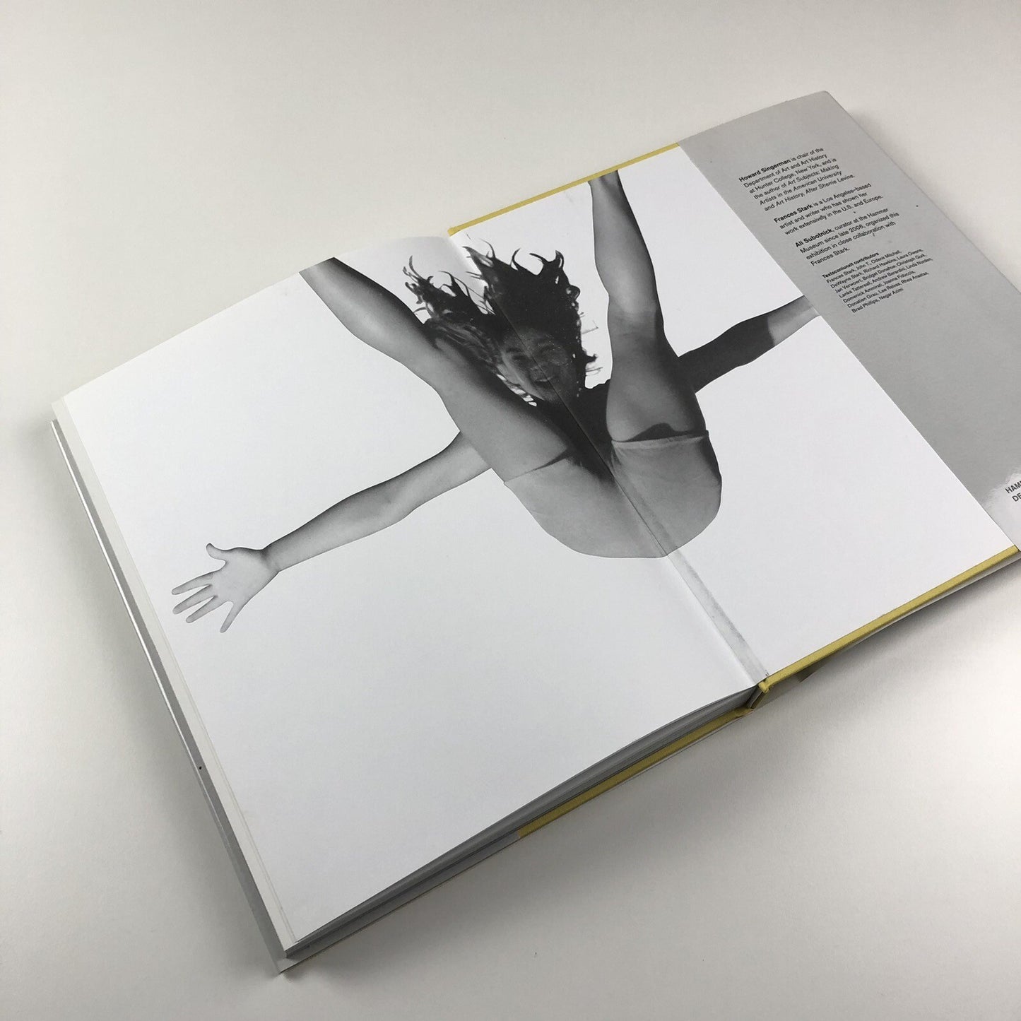UH-OH Frances Stark 1991-2015 | Hammer Museum Prestel catalogue, 2015