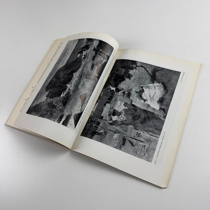Paul Gauguin. Paintings sculpture and engravings | Arts Council 1955
