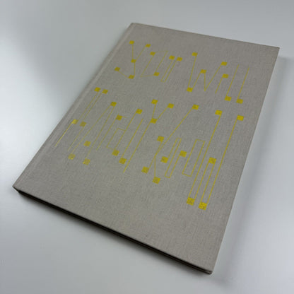 Håvard Homstvedt: You Will Hardly Know | Galleri Riis, 2008 catalogue