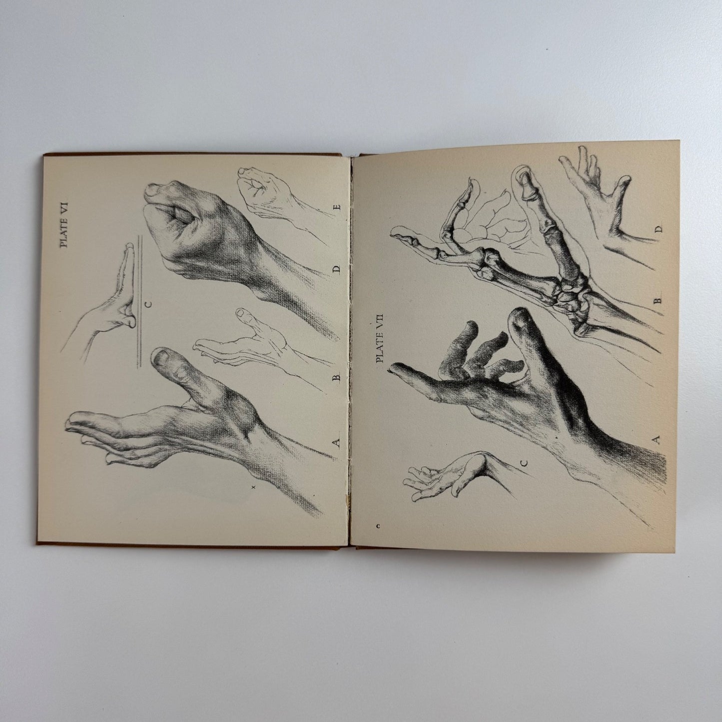 How to draw hands by Oliver Senior | The Studio, 1953 reprint Simon Brett bookplate