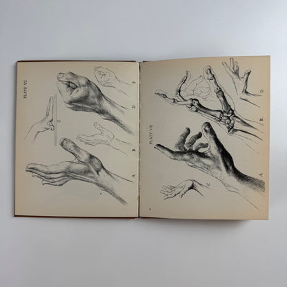 How to draw hands by Oliver Senior | The Studio, 1953 reprint Simon Brett bookplate
